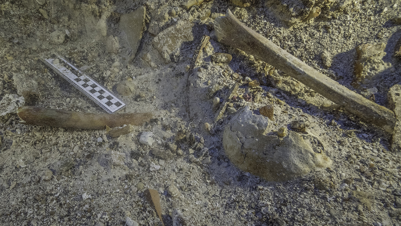 Video phát hiện một bộ xương khổng lồ