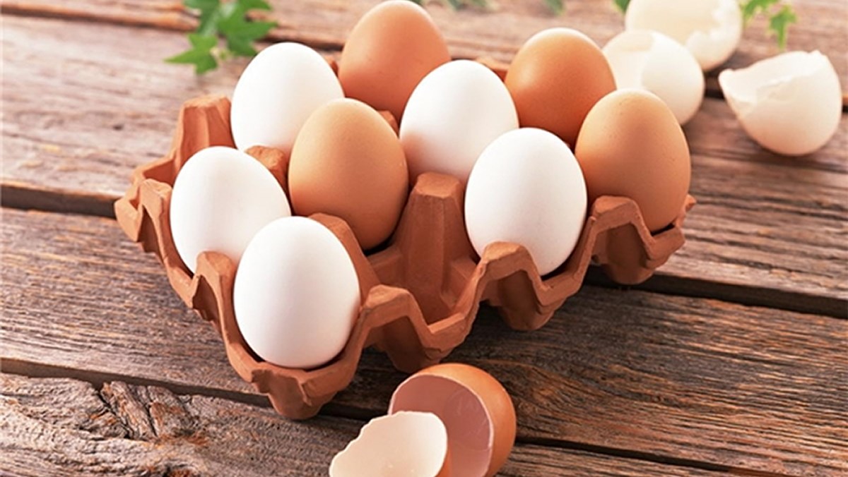 Trứng cso rất nhiều công dụng